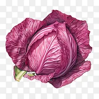 ����Ĳ�-����Ĳ˾��Ĳ˺���Ĳ���Ҷ�߲��߲�-������