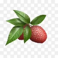 荔枝-西瓜-空若网 荔枝-西瓜-空若网