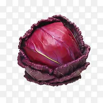 红甘蓝-红甘蓝红甘蓝新鲜蔬菜叶类蔬菜紫甘蓝-空若网 红甘蓝-红甘蓝红甘蓝新鲜蔬菜叶类蔬菜紫甘蓝-空若网