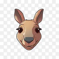 袋鼠-袋鼠袋鼠野生动物澳大利亚夜间活动-空若网 袋鼠-袋鼠袋鼠野生动物澳大利亚夜间活动-空若网