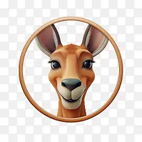 袋鼠-袋鼠羚羊牛科野生动物有蹄类动物-空若网 袋鼠-袋鼠羚羊牛科野生动物有蹄类动物-空若网