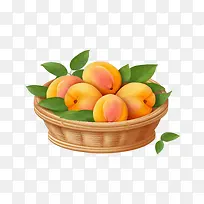 杏子水果-杏子水果桃子篮子水果有机-空若网 杏子水果-杏子水果桃子篮子水果有机-空若网