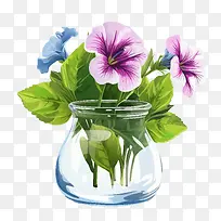 矮牵牛花-矮牵牛花水瓶花三色紫罗兰-空若网 矮牵牛花-矮牵牛花水瓶花三色紫罗兰-空若网