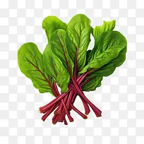 ���Ҷ-���Ҷ�߲���Ҷ�߲�����ũ��Ʒ�߲˵Ľ����洦-������