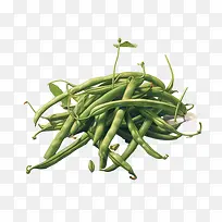 Â̶¹-Â̶¹Êß²ËÇà¶¹Êß²ËÔ°-¿ÕÈôÍø Â̶¹-Â̶¹Êß²ËÇà¶¹Êß²ËÔ°-¿ÕÈôÍø