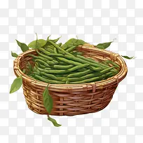 绿豆-绿豆蔬菜青豆篮子蔬菜-空若网 绿豆-绿豆蔬菜青豆篮子蔬菜-空若网