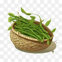 �̶�-�̶��߲˶�����ɫ�߲�-������