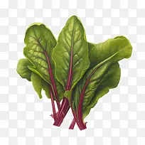 ���Ҷ-���Ҷ�߲�-������