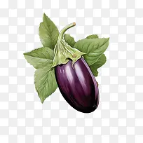 茄子-茄子茄子紫色蔬菜绿叶-空若网 茄子-茄子茄子紫色蔬菜绿叶-空若网