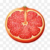 柚子水果-柚子水果葡萄柑橘类水果水果形象-空若网 柚子水果-柚子水果葡萄柑橘类水果水果形象-空若网