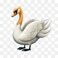 天鹅-翅膀-空若网 天鹅-翅膀-空若网