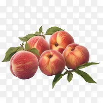桃子——夏季水果-空若网 桃子——夏季水果-空若网