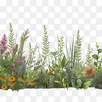 花边框-花边框-空若网 花边框-花边框-空若网