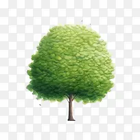 ��-������Ҷ��֦-������