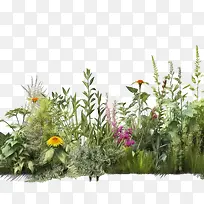 花边框-花边框-空若网 花边框-花边框-空若网