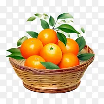 柑橘水果-柑橘水果篮橙子水果天然-空若网 柑橘水果-柑橘水果篮橙子水果天然-空若网