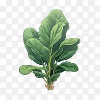 ����-����ʳƷ-������