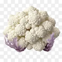 ��Ҭ��-����ʳƷ-������