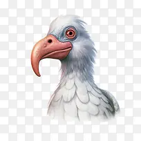 �ɶ���-���-������