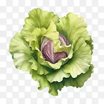 ����-ɳ��-������