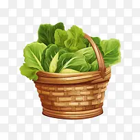 生菜-生菜篮生菜绿色蔬菜-空若网 生菜-生菜篮生菜绿色蔬菜-空若网