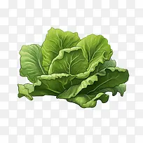 生菜-生菜绿叶生菜蔬菜-空若网 生菜-生菜绿叶生菜蔬菜-空若网