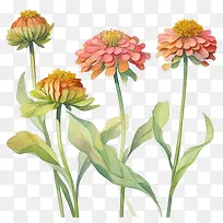 ���ղݻ�-���ղݻ����ղݷۺ�ɫ��ɫ-������