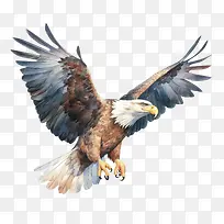 ӥ-���-������