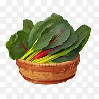 瑞士甜菜-瑞士甜菜蔬菜芦笋蔬菜篮-空若网 瑞士甜菜-瑞士甜菜蔬菜芦笋蔬菜篮-空若网