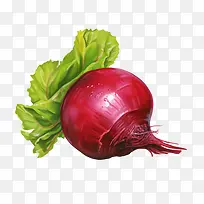 ��˸�-����ʳƷ-������