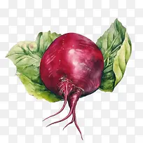 ��˸�-��˸��������˸��߲˺�ɫ�߲�-������