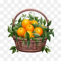 柑橘-柑橘篮橙子水果性质-空若网 柑橘-柑橘篮橙子水果性质-空若网