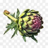 ���ʼ�-���ʼ����ʼ��߲���ɫֲ��-������