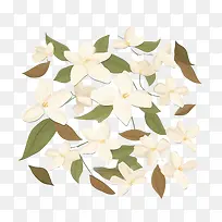 茉莉花-茉莉花-空若网 茉莉花-茉莉花-空若网