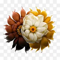 花-插花-空若网 花-插花-空若网