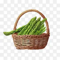 芦笋-芦笋芦笋绿色新鲜蔬菜-空若网 芦笋-芦笋芦笋绿色新鲜蔬菜-空若网