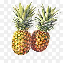 菠萝-菠萝-空若网 菠萝-菠萝-空若网