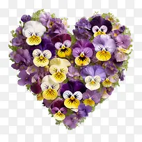 三色堇花-心形-空若网 三色堇花-心形-空若网