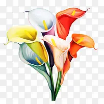 马蹄莲-花束-空若网 马蹄莲-花束-空若网