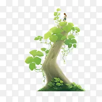 豆芽生长-豆芽生长树叶树枝树皮-空若网 豆芽生长-豆芽生长树叶树枝树皮-空若网