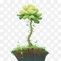 豆芽生长-豆芽生长树叶根树枝-空若网 豆芽生长-豆芽生长树叶根树枝-空若网