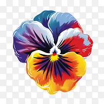 ��ɫ����-��ɫ��������ɫ����ʳ�������-������