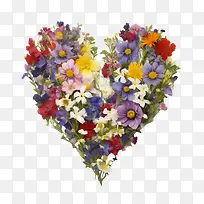 花心-花心-空若网 花心-花心-空若网