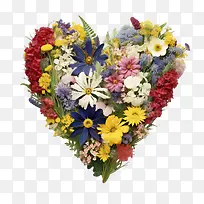 ����-����-������