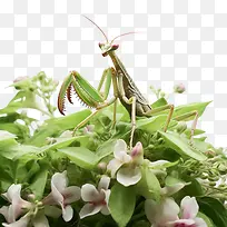 ó«òë-ó«òë¼×³æó«òëÀ¥³æÂÌÉ«-¿ÕÈôÍø ó«òë-ó«òë¼×³æó«òëÀ¥³æÂÌÉ«-¿ÕÈôÍø