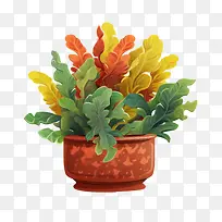 巴豆植物-橙色-空若网 巴豆植物-橙色-空若网