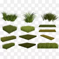 ֲ�ﱡ�ɼ�����-��-������