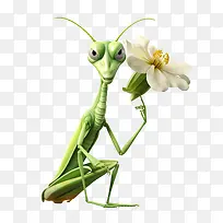 螳螂-螳螂蚂蚁祈祷昆虫绿色-空若网 螳螂-螳螂蚂蚁祈祷昆虫绿色-空若网