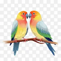 爱情鸟-爱情鸟-空若网 爱情鸟-爱情鸟-空若网