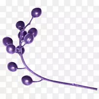 紫丁香薰衣草紫浆果-空若网 紫丁香薰衣草紫浆果-空若网